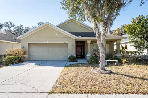6613 Bluff Meadow Ct, Wesley Chapel, FL 33545