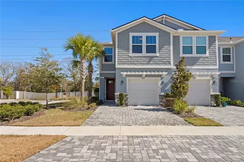 8519 Primrose Willow Pl, Odessa, FL 33556