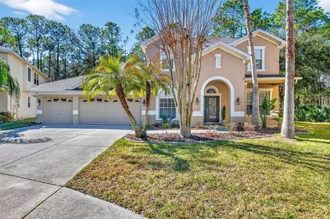6604 Portland Oak Ct, Tampa, FL 33647