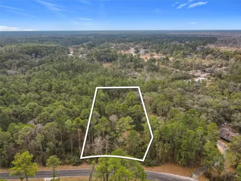 Apricot Avenue, Eustis, FL 32736 photo 4