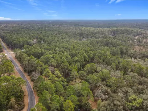 Apricot Avenue, Eustis, FL 32736 photo 11