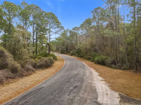 Apricot Avenue, Eustis, FL 32736 photo 3