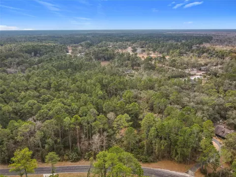 Apricot Avenue, Eustis, FL 32736 photo 6