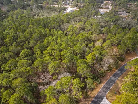 Apricot Avenue, Eustis, FL 32736 photo 7