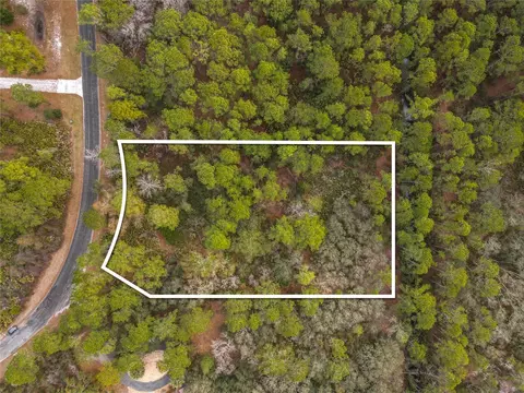 Apricot Avenue, Eustis, FL 32736 photo 5