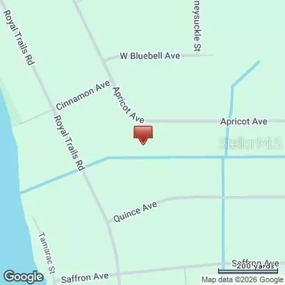 Apricot Avenue, Eustis, FL 32736 photo 13