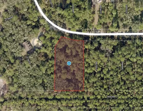 Apricot Avenue, Eustis, FL 32736 photo 12