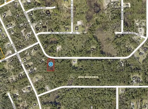 Apricot Avenue, Eustis, FL 32736 photo 2
