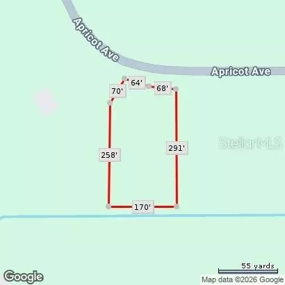 Apricot Avenue, Eustis, FL 32736 photo 14