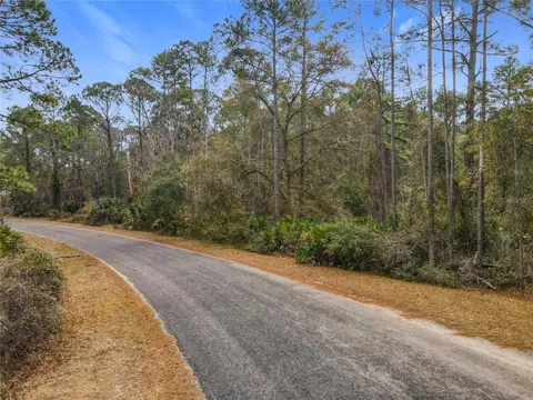 Apricot Avenue, Eustis, FL 32736 photo 8
