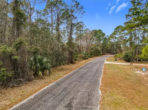 Apricot Avenue, Eustis, FL 32736 photo 9