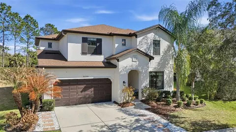 32306 Garden Alcove Loop, Wesley Chapel, FL 33545