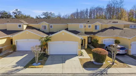 11005 Blaine Top Pl, Tampa, FL 33626
