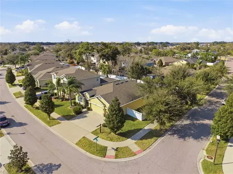 View/Area - 10420 Pleasant Spring Way, Riverview, FL 33578 photo 1 of 7