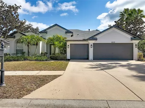 12628 Stanwyck Cir, Tampa, FL 33626
