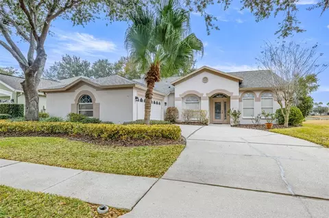 10246 Timberland Point Dr, Tampa, FL 33647