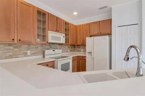 Kitchen - 125 Shell Falls Dr, Apollo Beach, FL 33572 photo 5 of 5