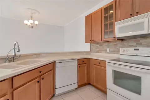 Kitchen - 125 Shell Falls Dr, Apollo Beach, FL 33572 photo 3 of 5