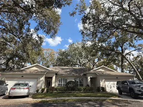 8633 Alexandra Arbor Ln, Temple Terrace, FL 33637
