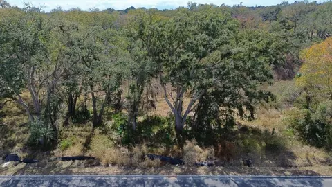 Diana Street, Tampa, FL 33610