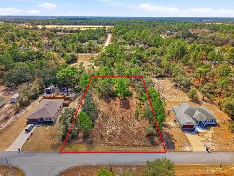 11263 Mexican Canary Ave, Weeki Wachee, FL 34614