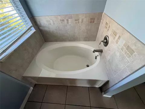 Bath - 11642 Addison Chase Dr, Riverview, FL 33579 photo 1 of 4