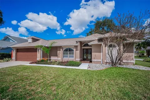 3097 Robinwood Ln, Palm Harbor, FL 34684