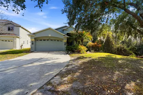 10426 Lucaya Dr, Tampa, FL 33647