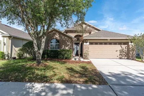 16314 Bridgeglade Ln, Lithia, FL 33547