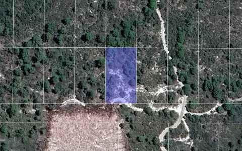 2242 Honey Dew Ave, Sebring, FL 33875