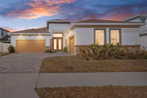 8749 Drummer Plank Dr, Wesley Chapel, FL 33545