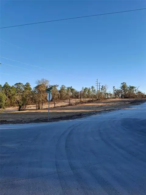 lot1 Barnevelde Rd, Weeki Wachee, FL 34614