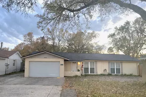 6702 Village Grove Ct, Tampa, FL 33615