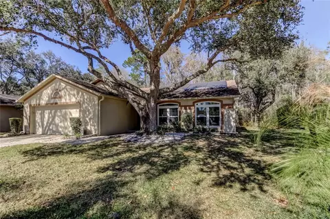 1795 Bayhill Dr, Oldsmar, FL 34677