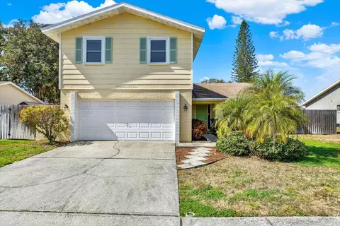 2594 Knoll St E, Palm Harbor, FL 34683