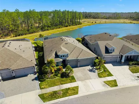 4626 Tour Trce, Land O Lakes, FL 34638