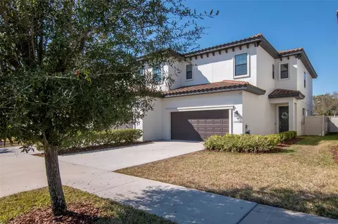 13022 Sanctuary Village Ln, Tampa, FL 33624