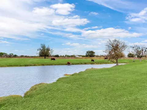 View/Area - 15721 Colding Loop, Wimauma, FL 33598 photo 4 of 6