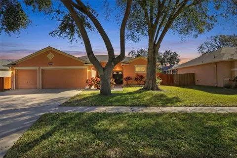 10455 Ashley Oaks Dr, Riverview, FL 33578