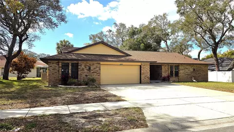 2890 Armadillo Dr, Palm Harbor, FL 34683