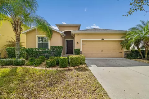 10507 Avian Forrest Dr, Riverview, FL 33578