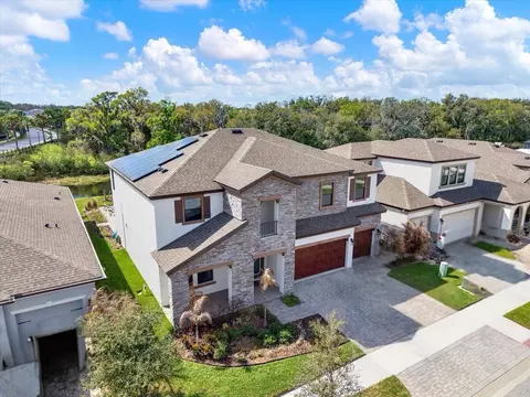 View/Area - 13113 Wildflower Meadow Dr, Riverview, FL 33579 photo 1 of 10