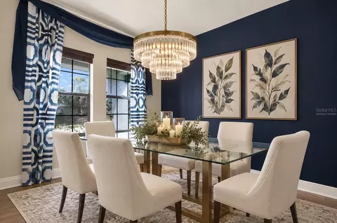 Dining - 13113 Wildflower Meadow Dr, Riverview, FL 33579 photo 2 of 4