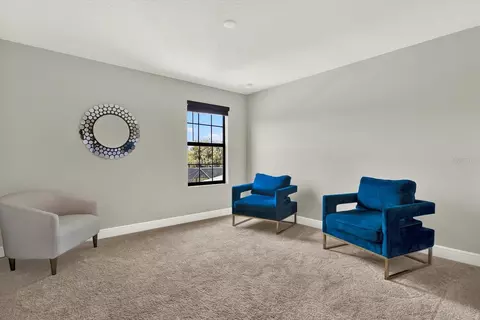 Other - 13113 Wildflower Meadow Dr, Riverview, FL 33579 photo 8 of 14