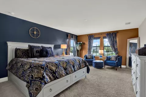 Bedroom - 13113 Wildflower Meadow Dr, Riverview, FL 33579 photo 4 of 13