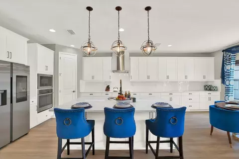 Kitchen - 13113 Wildflower Meadow Dr, Riverview, FL 33579 photo 3 of 4