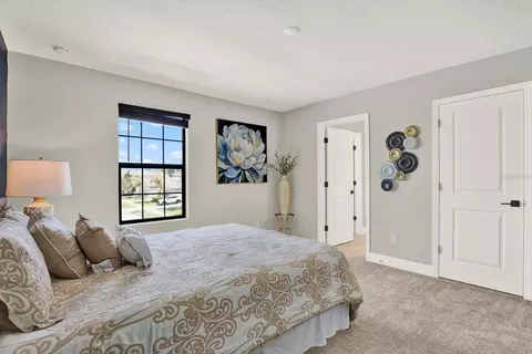 Bedroom - 13113 Wildflower Meadow Dr, Riverview, FL 33579 photo 12 of 13