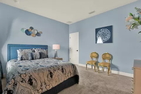 Bedroom - 13113 Wildflower Meadow Dr, Riverview, FL 33579 photo 3 of 13