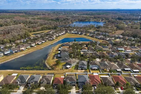 View/Area - 2839 Maple Brook Loop, Lutz, FL 33558 photo 4 of 12