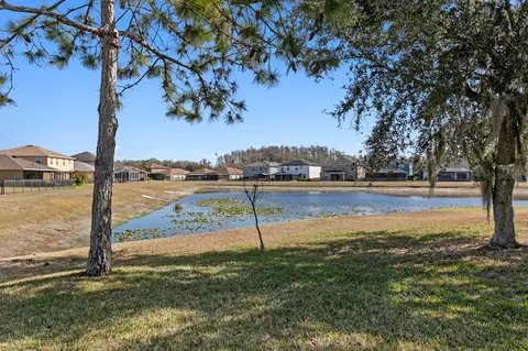 Other - 2839 Maple Brook Loop, Lutz, FL 33558 photo 5 of 11